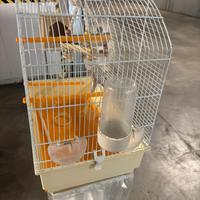 Gabbietta per uccellini e per gli  inseparabili