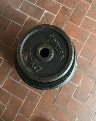 Dischi pesi palestra