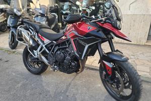 Triumph Tiger 900 GT mod.2025