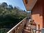 Immagine 7