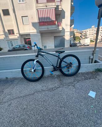 bicicletta per mancato utilizzo 