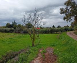 Velletri, terreno agricolo fronte strada