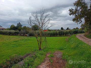 Velletri, terreno agricolo fronte strada