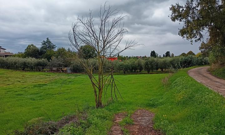 Velletri, terreno agricolo fronte strada