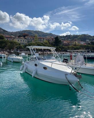 Aquabat Sport Cruiser 20 + Yamaha 115