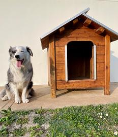 casetta cuccia in legno per cani