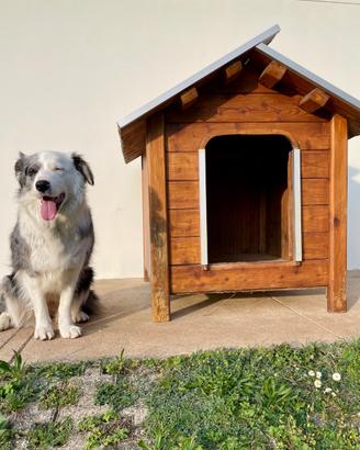 casetta cuccia in legno per cani