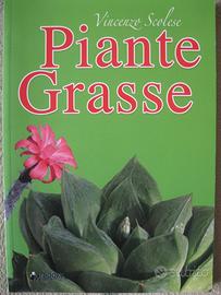Piante grasse di Vincenzo Scolese