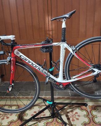 bdc cannondale synapse
