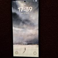 Samsung Galaxy S24 Ultra 256