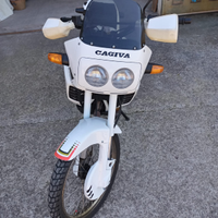 Cagiva cocis