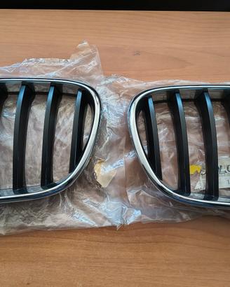 GRIGLIE ORIGINALI ANT. BMW X3 (F25) 