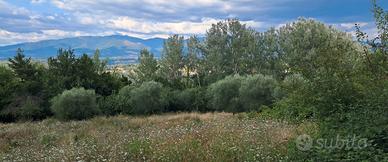 Terreno agricolo