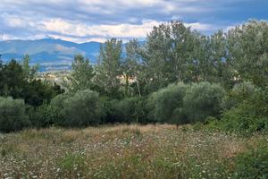 Terreno agricolo