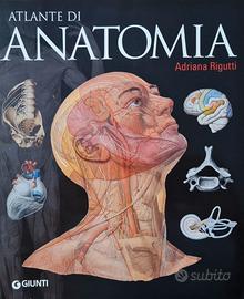 Atlante di Anatomia - di Adriana Rigutti - Libri e Riviste In vendita a  Padova