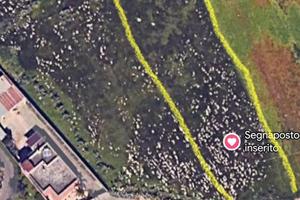 Terreno agricolo a Surbo