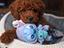 Immagine 4