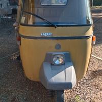 Ape p 501