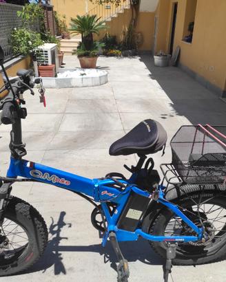 Bici elettrica