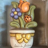 Piantine fiore country Thun