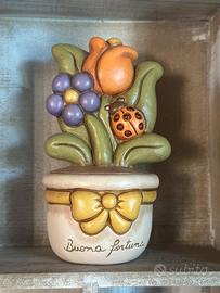 Piantine fiore country Thun