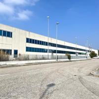 CAPANNONE A SAN PIETRO VIMINARIO