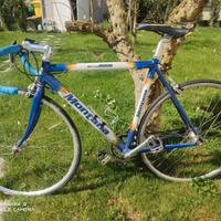 Bici da corsa Montana