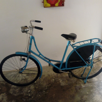 Bicicletta Olandese Pon