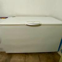 Freezer Rex Intuition