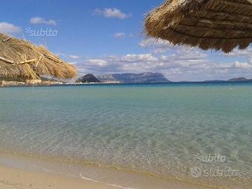 GOLFO ARANCI. CON TERRAZZA VISTA MARE DA 150 Mt