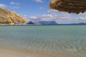 GOLFO ARANCI. CON TERRAZZA VISTA MARE DA 150 Mt