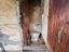 Immagine 29