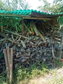 legno di ulivo da ardere