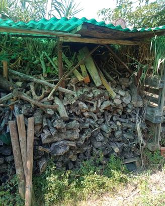 legno di ulivo da ardere