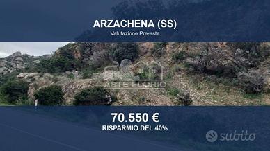 Immobile in asta di 195953 m² a Arzachena