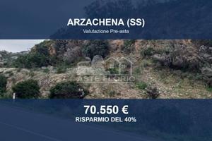 Immobile in asta di 195953 m² a Arzachena