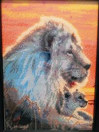 Quadri Diamond Painting cm.30x40 fatti a mano