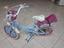 Immagine 1