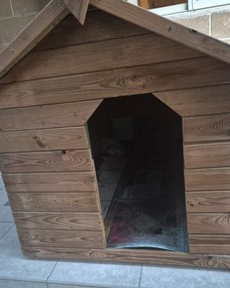 cuccia per cani