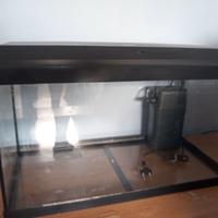 Acquario