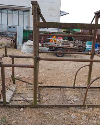 Gabbia per Travaglio