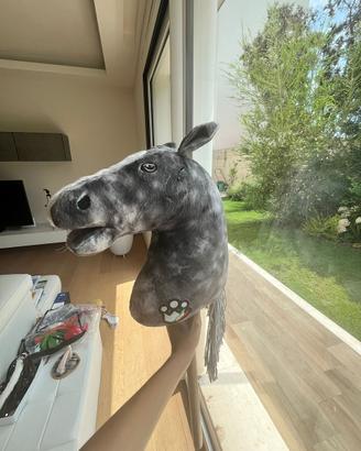 Hobby horse