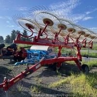 Ranghinatore stellare Enorossi Maximus Rake 16