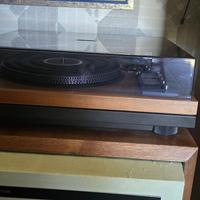 Pioneer Pl-71 anno 1974