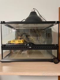Terrario Exo Terra 45x45x30 completo