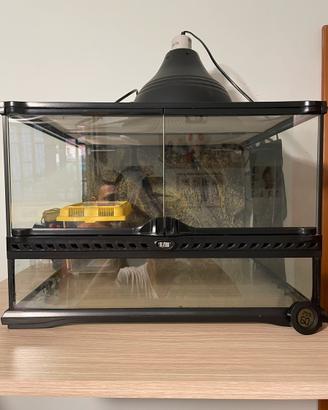 Terrario Exo Terra 45x45x30 completo