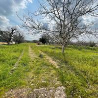Terreno agricolo a Casarano
