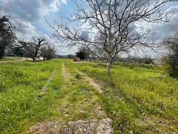 Terreno agricolo a Casarano