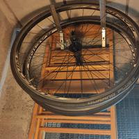 Telaio, 2 ruote, forcella in carbonio e reggisella