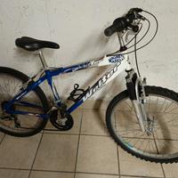 bicicletta 24"